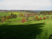 Blick von Eckacker nach Westen am 28.10.2009