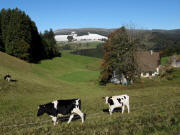 Blick nach Nordwesten ber das Heitzmannsberghusle zum Kandelberg am 19.10.2009 - der erste Schnee