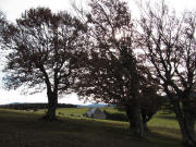 Blick nach Sdosten zum Hochebenehof am 31.10.2009