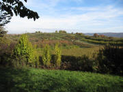 Blick vom Kahlenberg nach Norden zum Heuberg am 27.10.2009