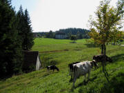 Blick nach Sden zum Wolfbauernhof am 8.9.2009