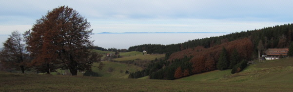 Blick vom Schauinsland nach Westen über den Rheintalnebel zu den Vogesen am 31.10.2009 - rechts Luginsland