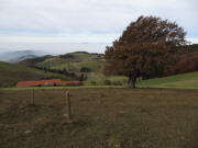 Blick von der Schindelmatt nach Westen zu Stohren und Rheintalnebel am 31.10.2009