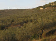 View to morth to the church of S. Arcangelo 5.10.2009