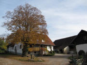 Blick nach Norden zum Wplinsberg am 28.10.2009