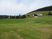 Blick nach Westen zum Ziriakenhof in Schnenbach am 7.9.2009