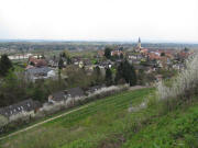 Blick vom Fohrenberg nach Westen auf Ballrechten am 17.4.2010