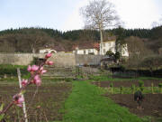 Blick nach Norden ber den Kartaus-Bauerngarten am 2.4.2010