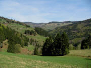 Blick vom Sträßchen von Ober-Rollsbach nach Laitenbach am 29.4.2010 nach Norden auf  Wieden-Graben