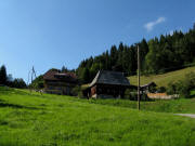 Blick nach Westen hoch zur "Hll" am 1.9.2010