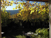 Blick aus dem Wohnzimmer nach S�den am 4.11.2010