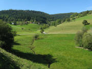 Blick nach Nordwesten hoch zu Oberhuser am 20.9.2010