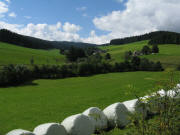 Blick nach Osten ins Bruckbach am 1.9.2010 - Rainhof rechts