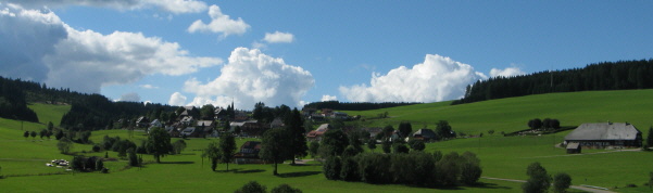 Blick nach Norden auf Waldau am 1.9.2010