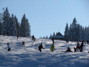 Blick  nach Sden ber die Grafenmatt am 14.2.2010