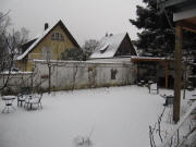 Pfirsich- und Feigenbaum 12.2.2010