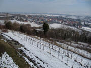 Blick von der Erentrudiskapelle nach Norden am 16.2.2010 auf Munzingen