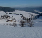 Blick vom Strauss nach Osten ins Siedelbach zum Bartelshof (links) am 24.1.2010