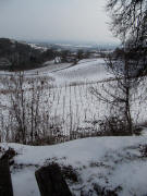 Blick vom Vogelsang nach Südosten über Steinbruch Hauri gen Bötzingen am 12.2.2010 bei -5 Grad