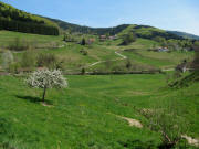 Blick nach Osten zu Brchau-Sonnhalde am 29.4.2010