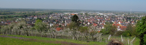 Blick vom Steinberg nach Westen über Herbolzheim am 24.4.2010