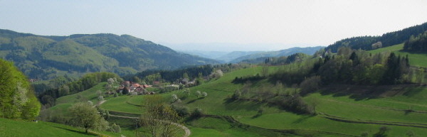 Blick von Oberhuser nach Sden ber Raich am 29.4.2010