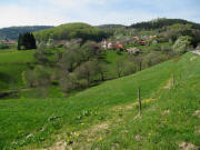 Blick von Hohenegg nach Norden auf Ried am 29.4.2010