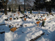 Blick nach Norden im Bergäcker-Friedhof am 2.12.2010 - minus 12 Grad