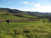 Blick vom Rebiesle ob Wittnau nach Sdosten auf Slden am 14.11.2010