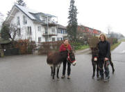 Esel-Mutter (links) und Esel-Tochter am 23.12.2010 in Littenweiler 