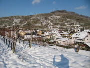 Oberbergen am 4.12.2010: Blick vom Abzweig Altvogtsburg nach Norden zum Schneckenberg