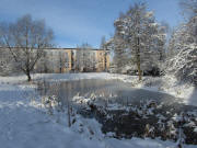 Blick nach Westen am 26.12.2010 zum Studentenwohnheim - Biotop der PH mit dem Teich