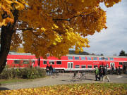 Bahnübergang Freiburg-Littenweiler am 30.10.2010 um 12.39 Uhr - der Höllentäler fährt durch