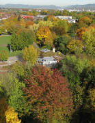 Seepark-Aussichtsturm am 29.10.2010: Blick nach Norden zu Ökostation und Wentzinger-Gymnasium (oben rot)