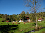 Blick nach Nordwesten über den Ibenbach zum Schlegelhansenhof am 26.10.2010