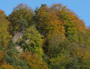 Tele-Blick nach Norden zur Ruine Wiesneck am 26.10.2010