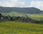 Blick nach Süden über Hinterzarten am 28.4.2011 zur Windeck : Gaiserhof (rechts) und Ospelehof 