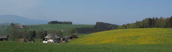 Blick nach Sdwesten ber den Hinteren Willmenhof zum Heitzmannsberg am 20.4.2011