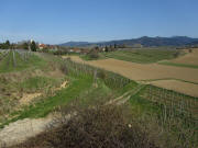 Blick nach Nordosten auf  Betberg am 26.3.2011 