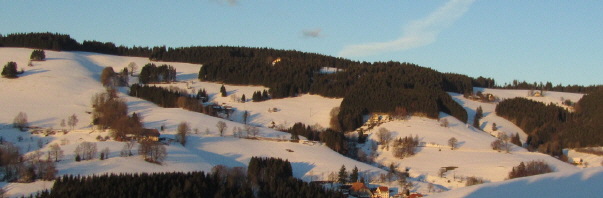 Blick nach Norden vom Zwerisberg am 3.1.2011 auf Oberibental: Kapfenmathis rechts, Kernewiesen oben, Dienschenhof unten