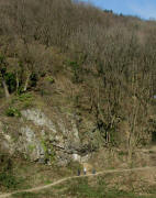 Mez-Gelnde Oberau am 13.3.2011: Blick nach Nordosten zum Weg von Schwabentor zum Sandfang