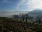 Blick vom Pfeiferberg am 8.2.2011 nach Nordosten über Kirchzarten im Nebel
