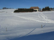 Blick nach Norden zum Hochebenehof am 2.2.11 - links "Die 6 Wetterbuchen"