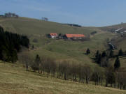 Blick nach Osten ber Schindelmatt  zu den Wetterbuchen auf dem Schauinsland am 24.3.2011