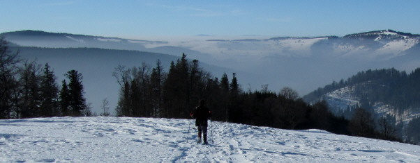 Tote Mann/Ahornkopf am 31.1.2011: Blick nach Westen zu Hofsgrund im Nebel und Schauinsland (rechts) und Trubelsmattkopf (links)