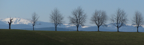 Blick vom Kapfhof am 21.3.2011 nach Süden zum Zwerisberg: Feldberg sowie Tote Mann (rechts) schneebedeckt