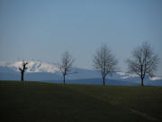 Blick vom Kapfhof am 21.3.2011 nach Sden zum Zwerisberg: Feldberg schneebedeckt