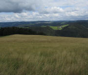 Freyel am 24.7.2011: Blick nach Norden übers hohe Gras  zum Tännlehof "Auf den Spirzen"