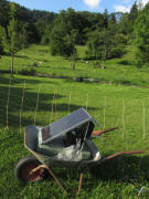Kartaus am 27.7.2011: Blick nach Norden zu den Schafen - Solarstrom für den Zaun