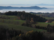 Oberhalb Brosihof am 11.11.2011: Blick nach Südwesten über Spirzen ins Dreisam- und Rheintal